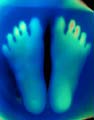 My Daddy's Feet