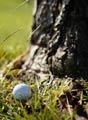 Playing the Rough