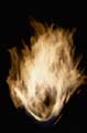 Thanks For The Flame Of Freedom