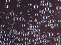 Refreshing Rain