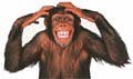 Monkey See, Monkey Do?