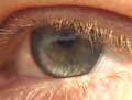 If My Eyes Could See