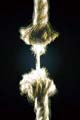 A Broken Spirit