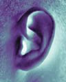 Selective Hearing