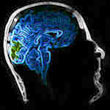 A Beautiful Mind