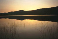 Be Still