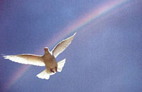 The Spirit and Center Stage
