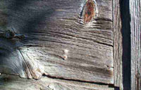 The Weathered Old Barn
