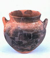 Treasures in Clay Pots