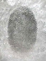 God's Fingerprints