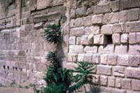 Rebuilding the Wall
