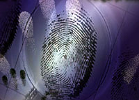 Fingerprints of God