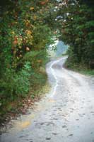 Disciples Have Found the Way Home
