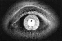 Warning! A Temporary Blindness Alert Has Been Issued!