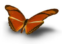 Transformation: God's Promise and His Work