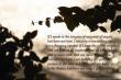 1 Corinthians 13:1-3