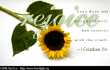 1 Corinthians 13:6