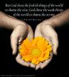 1 Corinthians 1:27