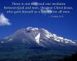 1 Timothy 2:5-6