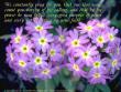 2 Thessalonians 1:11