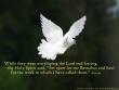 Acts 13:2