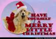 Merry Little Christmas