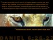Daniel 6:26-27