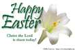 Happy Easter