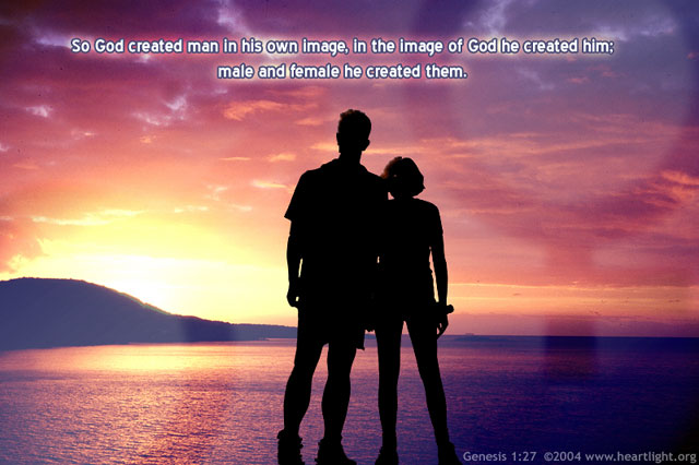 Genesis 127 Illustrated Man And Woman — Heartlight® Gallery