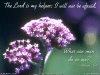 Hebrews 13:6