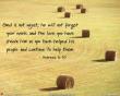 Hebrews 6:10