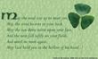 Irish blessing