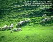 Isaiah 53:6