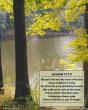 Jeremiah 17:7-8