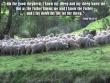 John 10:14-15