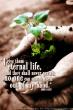John 10:28
