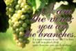 John 15:5