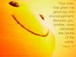 Philemon 1:7