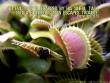 Proverbs 12:13