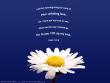 Psalm 143:8