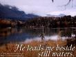 Psalm 23:2