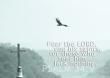 Psalm 34:9