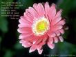 Psalm 75:1