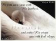 Psalm 91:4