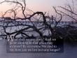 Romans 6:1
