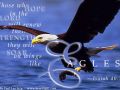 Isaiah 40:31