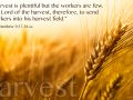 Matthew 9:37-38 Text