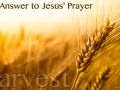 Matthew 9:37-38 Answer