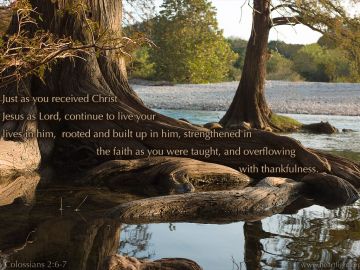 PowerPoint Background: Colossians 2:6-7 Text