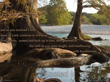 PowerPoint Background: Colossians 2:6-7 Full